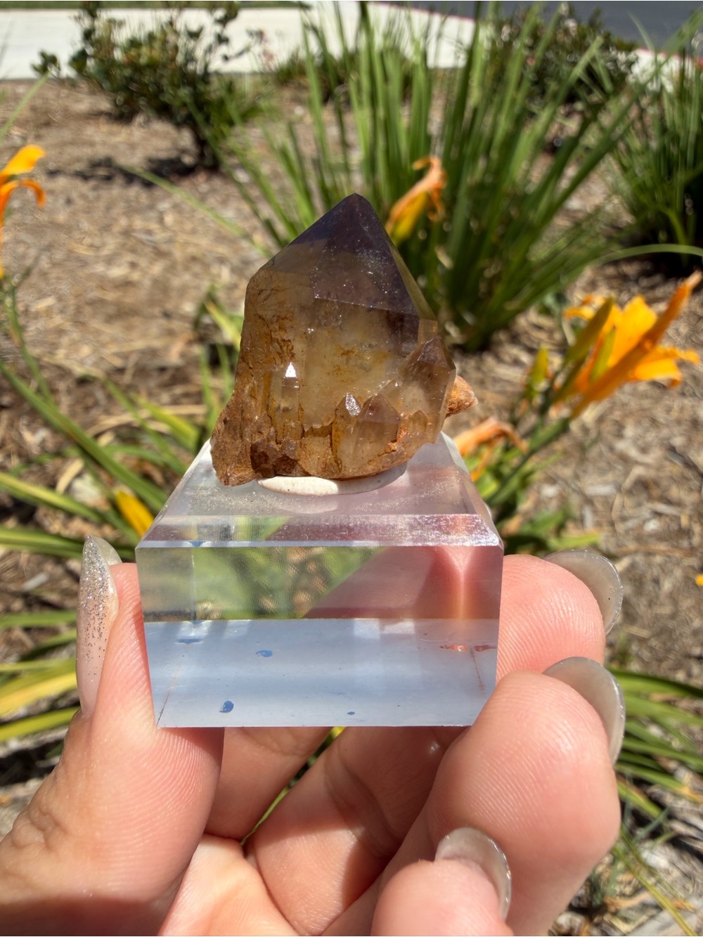 Natural Smoky Quartz Pineapple Cluster Hidden Mountain Phantom Crystal,A602